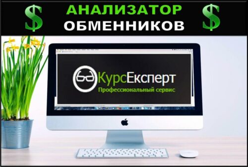 Курс Экспорт анализатор