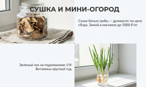 Правильное хранение