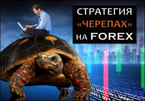 Стратегия черепах на форексе