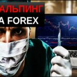 Скальпинг на форекс