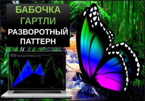 Бабочка гартли разворотный паттерн