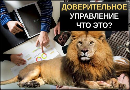 Доверительное управление что это