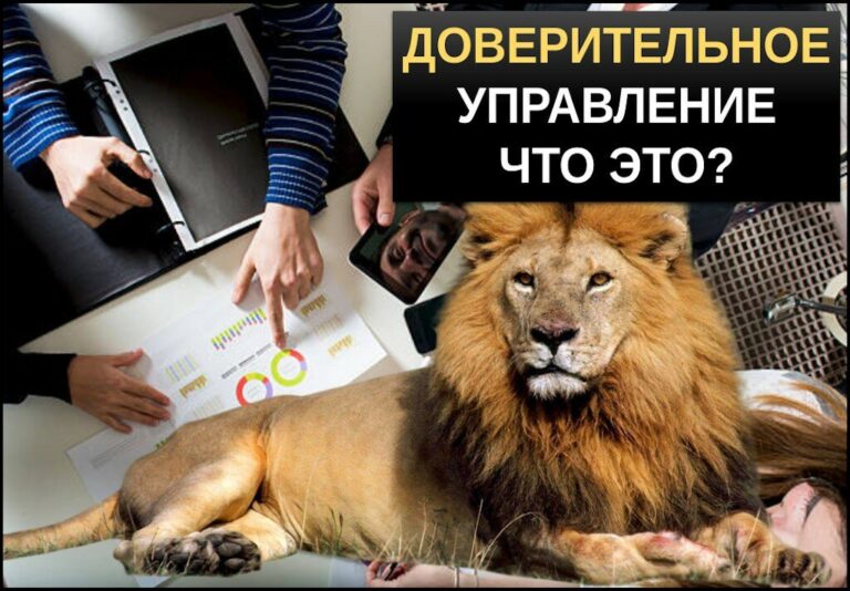 Доверительное управление деньгами — это? Виды и типы ДУ, доходность, риски