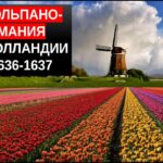 Тюльпаномания в Голландии