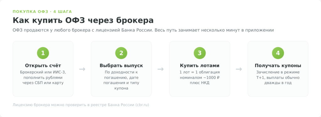 Четыре шага покупки ОФЗ через брокера: открыть счёт, выбрать выпуск, купить лотами, получать купоны