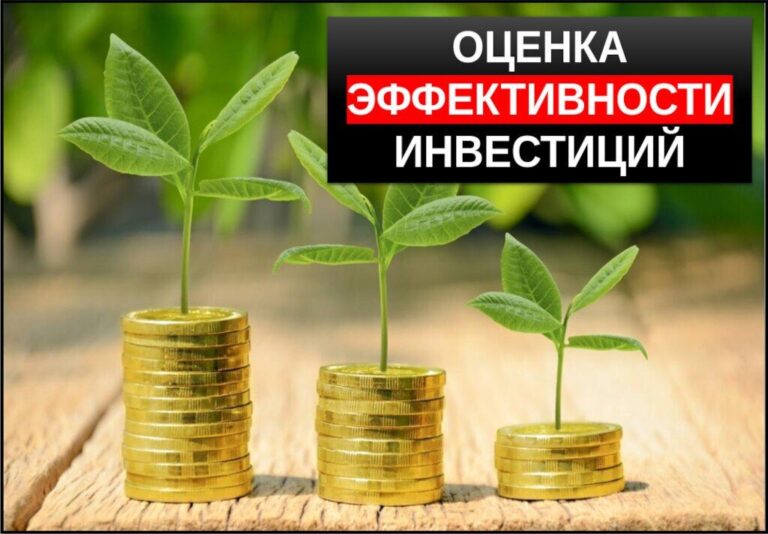Оценка эффективности инвестиций — 5 критериев + формулы для расчета