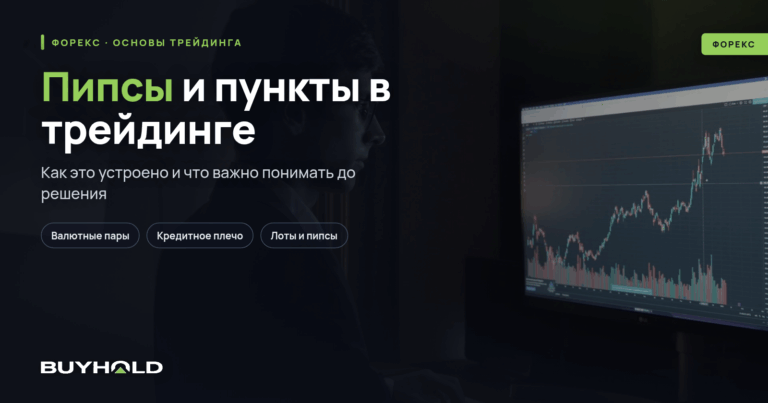 Пипсы и пункты в трейдинге — в чем отличие? Формулы для расчета 1 pips и points