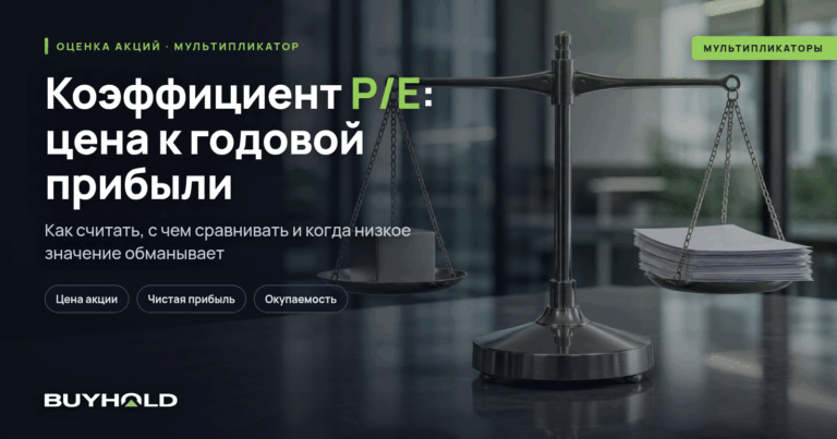 Как считать коэффициент P/E и что показывает отношение цены к прибыли