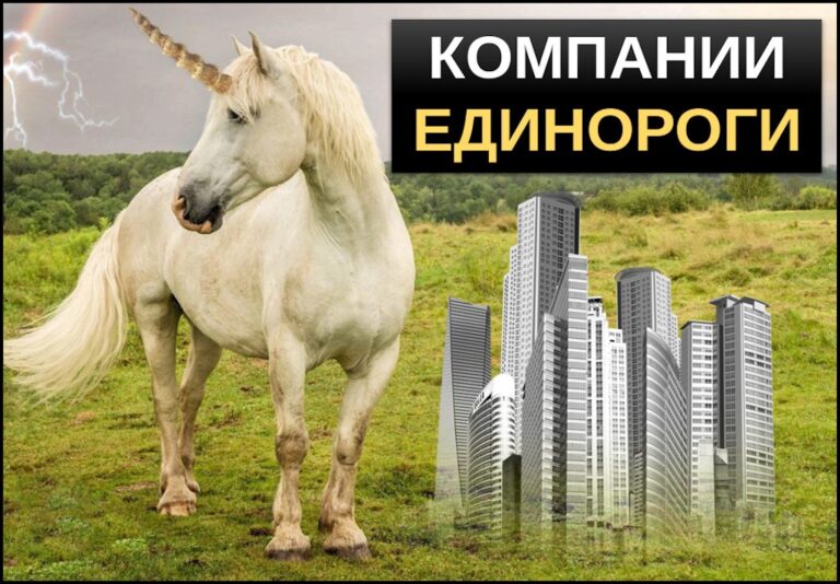 Компании единороги