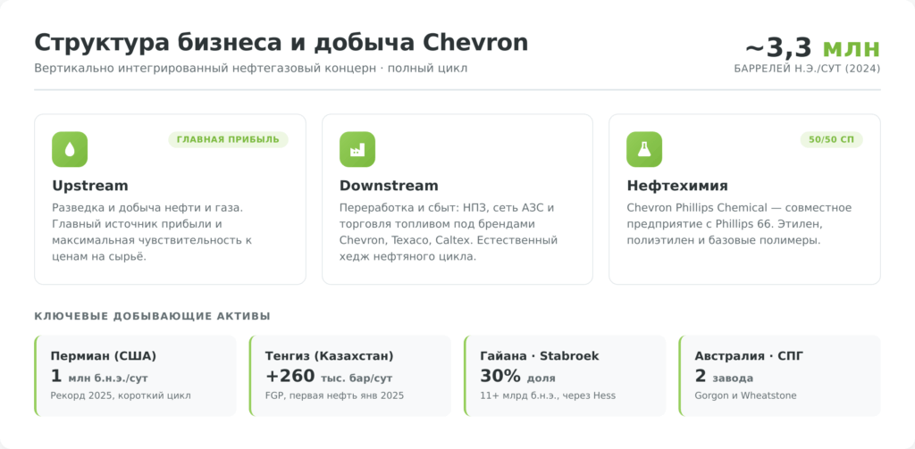 Инфографика: структура бизнеса и добыча акций Chevron — Upstream, Downstream, нефтехимия и ключевые активы