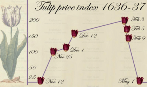 Тюльпановая лихорадка, 1637