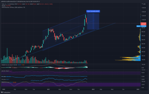 TSLA_2021-11-16_02-03-30