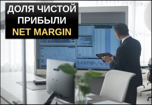 мультипликатор net margin