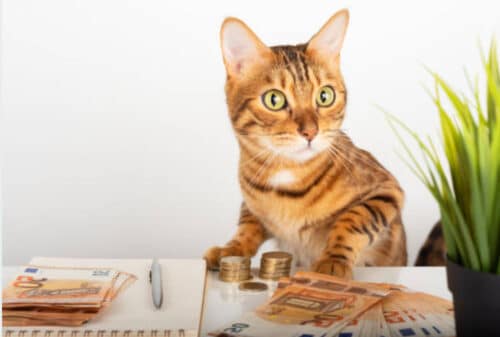 инвестиции в ценные бумаги это