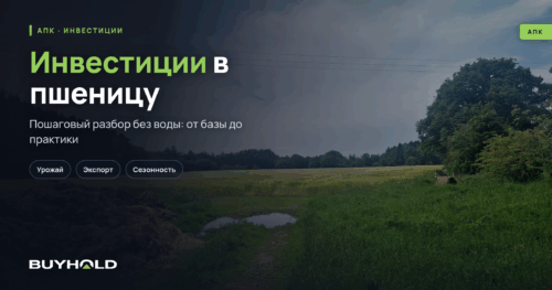 Инвестиции в пшеницу – как заработать на зерновых