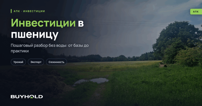 Инвестиции в пшеницу – как заработать на зерновых?
