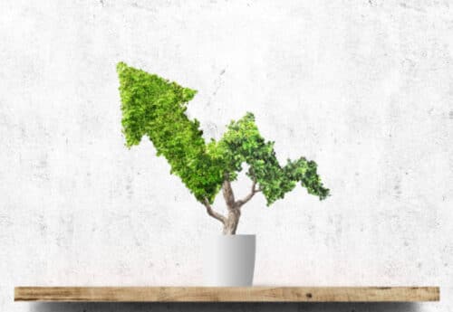 Виды прямых инвестиций