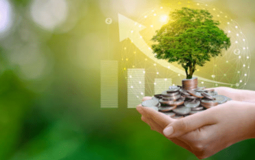 прямые инвестиции это