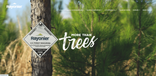 Rayonier