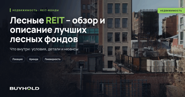 Лесные REIT – обзор и описание лучших лесных фондов
