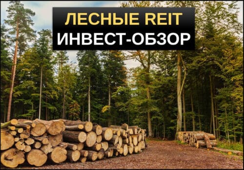 лесные reit