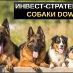 стратеги собаки доу