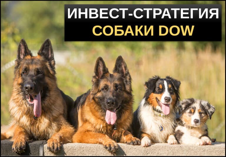 стратеги собаки доу