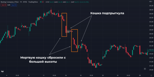 кошка подпрыгнула