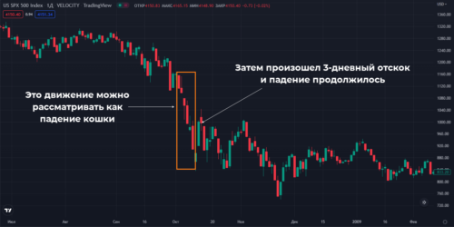 отскок дохлой кошки в 2008