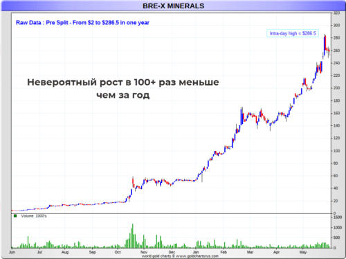 пример компании Bre-X