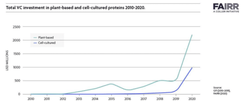 инвестиции в основные направления создания альтернативных белков