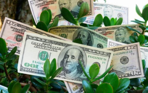 зеленые облигации что это