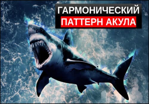 гармонический паттерн акула