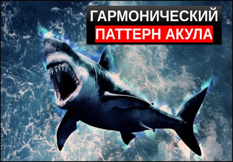 гармонический паттерн акула