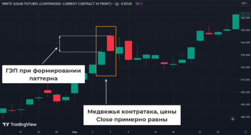 медвежьей контратаки