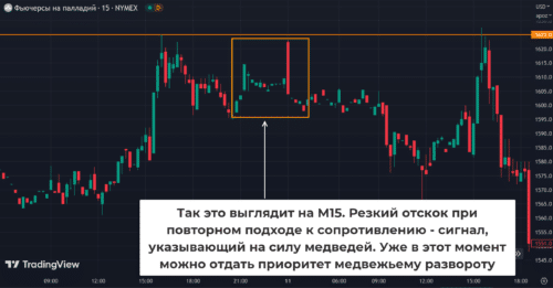 сила медведей