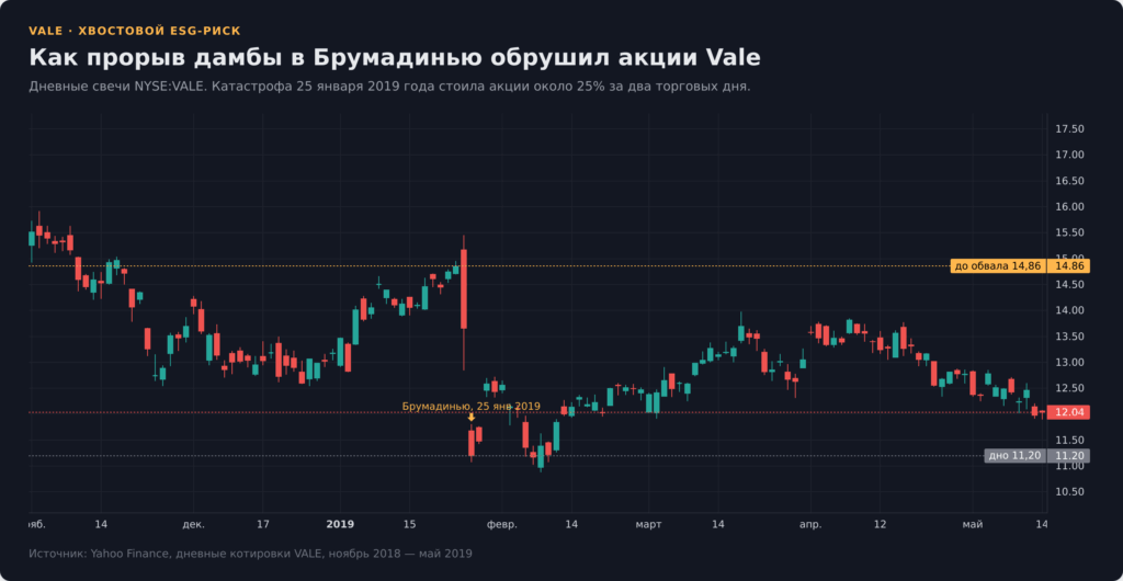 Дневной график акций Vale вокруг катастрофы в Брумадинью, обвал на 25% за два дня в январе 2019 года
