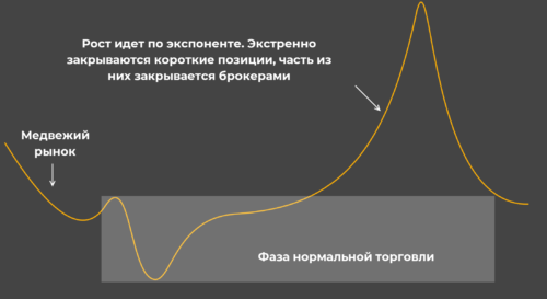 механика шорт сквиза