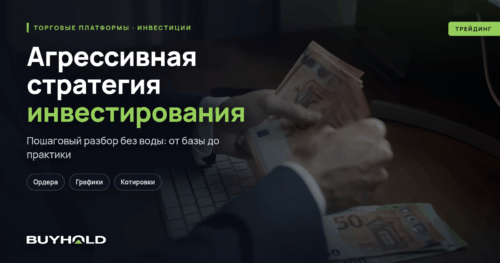 Агрессивная стратегия инвестирования. Как заработать сотни процентов