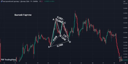 бычий гартли