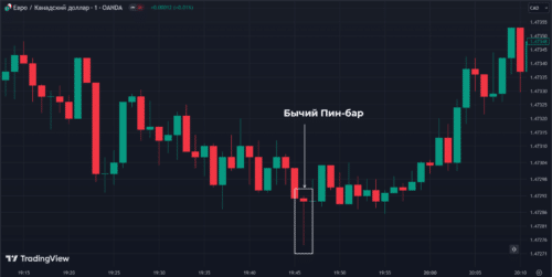 бычий пин бар