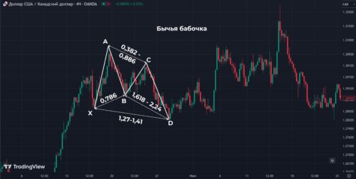 бычья бабочка