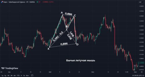 бычья летучая мышь