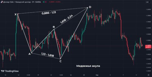 гармонический паттерн медвежья акула