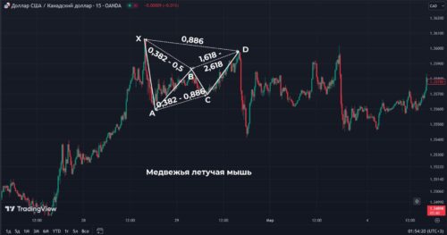 гармонический паттерн медвежья Летучая мышь