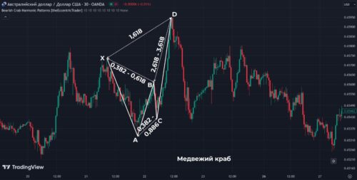 медвежий краб
