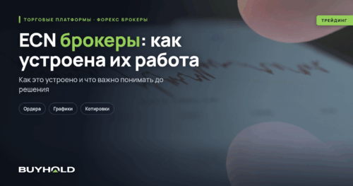 ECN брокеры: как устроена их работа и в чем преимущества для трейдеров