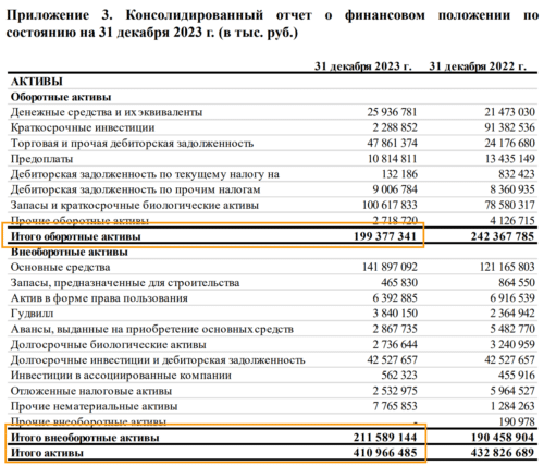Фрагменты отчета РусАгро с исходными данными для расчета 2