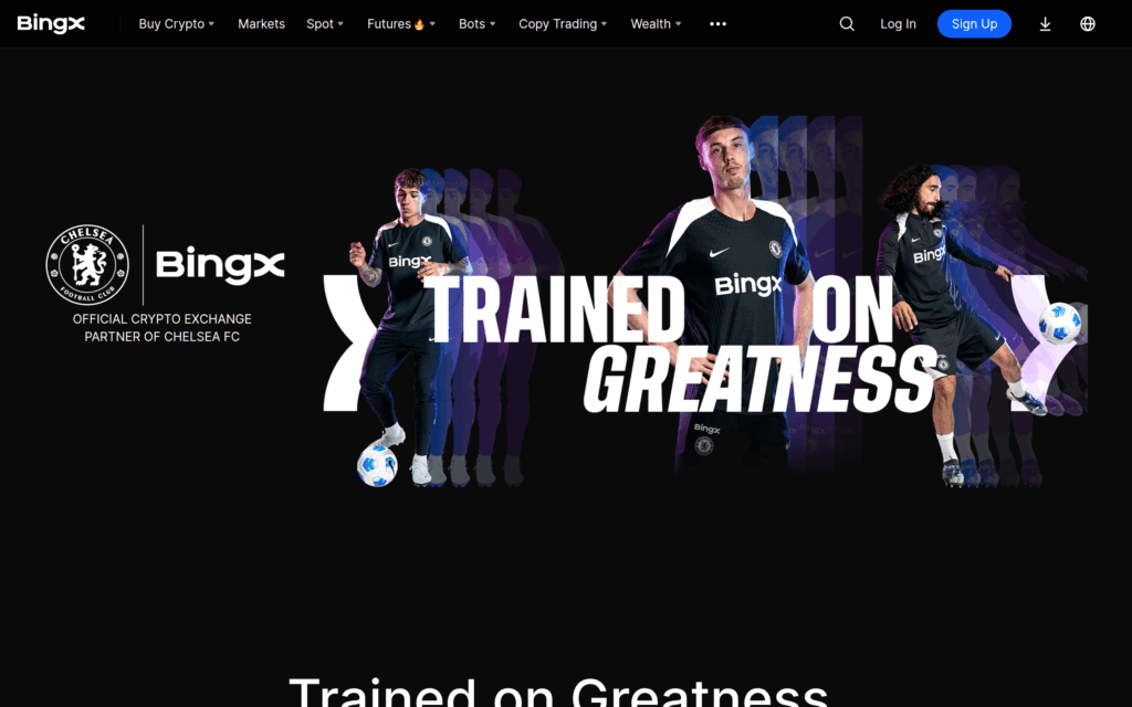 Страница партнёрств BingX с Chelsea FC и спортивным маркетингом биржи